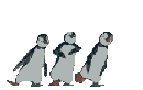 pingoins